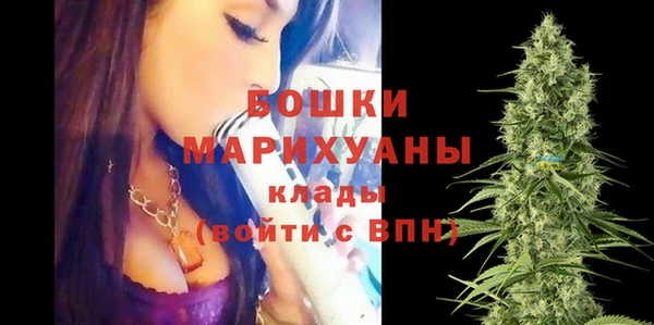 ПСИЛОЦИБИНОВЫЕ ГРИБЫ Снежногорск