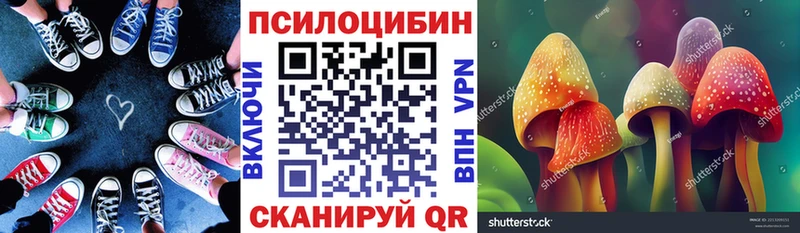 Галлюциногенные грибы GOLDEN TEACHER  Верхотурье 